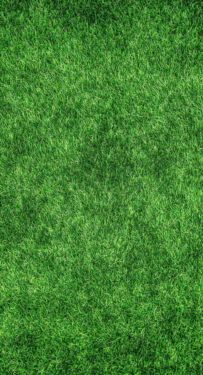 Eco-Friendly Design